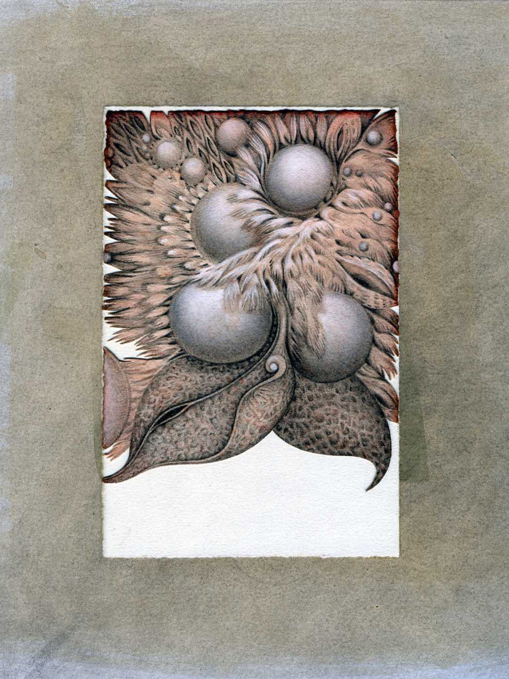 Frances Smokowski - Primordia - Chrysalis Studio